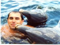 Доминикана купание с дельфинами