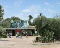 зоопарк Сан-Диего