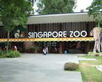 сингапурский зоопарк