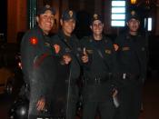 полиция Перу